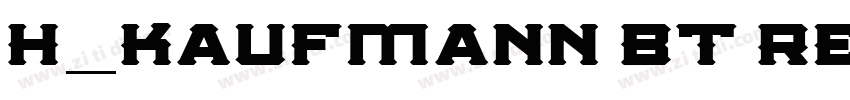 H_Kaufmann BT Regula字体转换